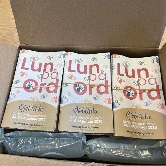 Foto af programmer til litteraturfestivalen Lun på Ord